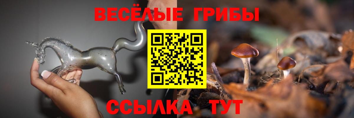 Галлюциногенные грибы ЛСД Нальчик